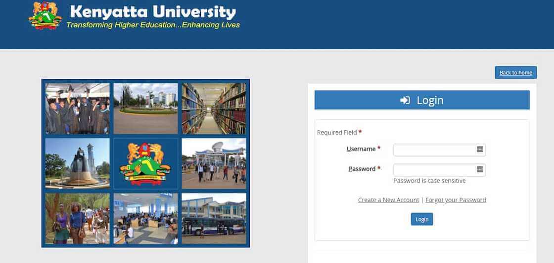 KU Student Portal Login: A Comprehensive Guide for Students