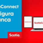 ScotiaConnect Login: A Complete Guide for Business Banking Users