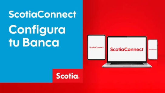 ScotiaConnect Login: A Complete Guide for Business Banking Users