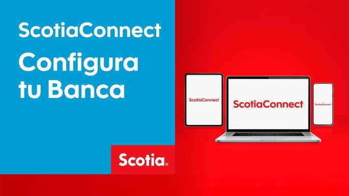 ScotiaConnect Login: A Complete Guide for Business Banking Users