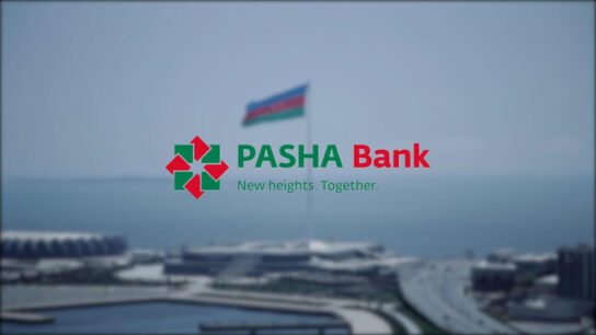Pasha Bank Login: A Complete Guide to Online Banking Access